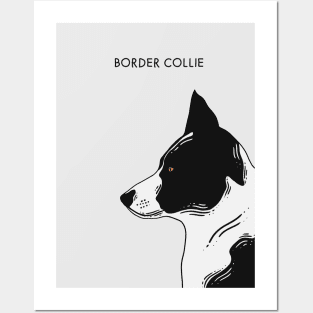 Border Collie - Portrait Posters and Art